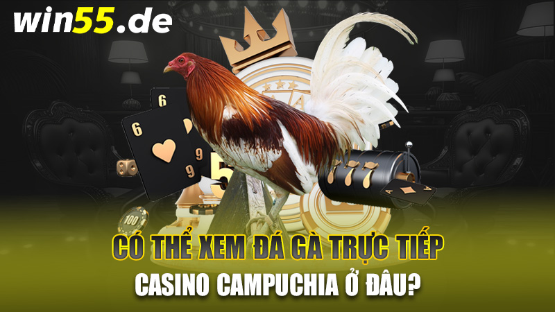 Có thể xem đá gà trực tiếp Casino Campuchia ở đâu?

