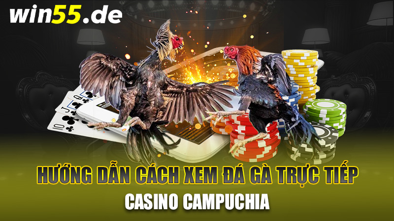 Hướng dẫn cách xem đá gà trực tiếp Casino Campuchia
